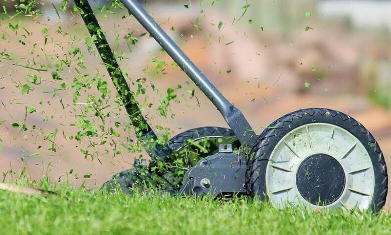 Lawn Care